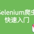 Selenium爬虫快速入门（Python版）