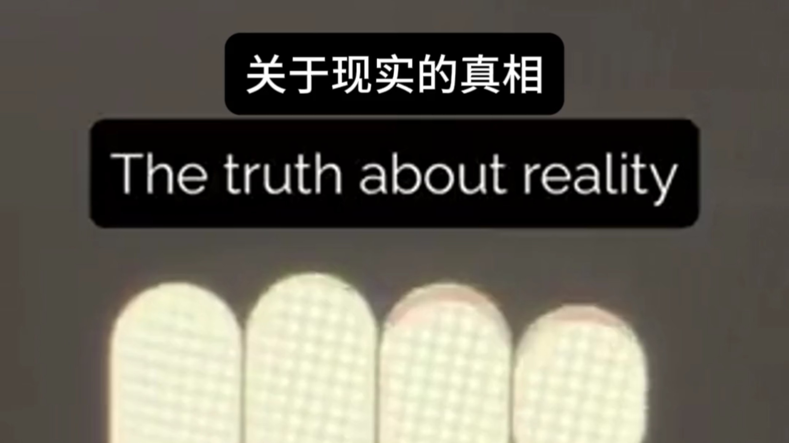 关于现实的真相！