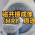 【3D医学动画】磁共振成像(MRI)原理