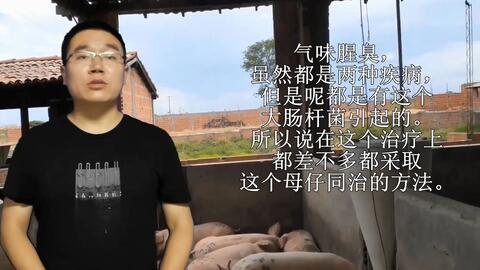 627e757a0580668add90c873218310d00018f257.jpg@480w_270h_1c