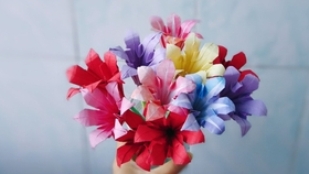 627ef5d0c806f514f966b2d877d74a6b64dd2ab3.jpg@280w_158h_1c_100q.jpg