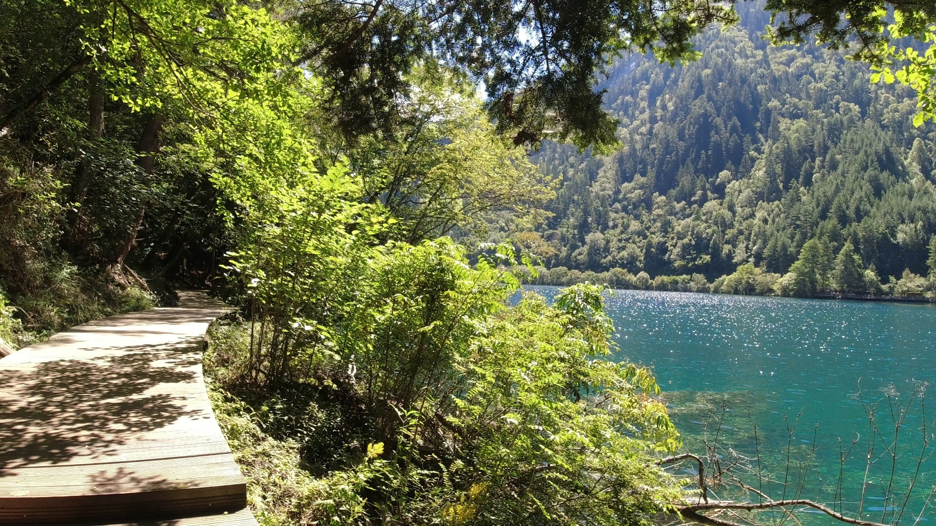 第一视角体验九寨沟之静海