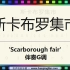 《斯卡布罗集市》 'Scarborough fair' 伴奏G调 [ JumpingBar 有声动态乐谱 ]