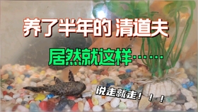 62b38eeec4bc925e9e4accde64c5a309c4d6cf1e.jpg@280w_158h_1c_100q.jpg
