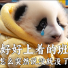 好好上着的班，怎么突然说没就没了