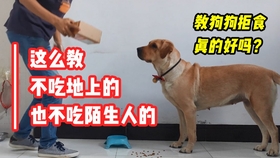 62c0dcc29506a67716f176975959111b988c4891.jpg@280w_158h_1c_100q.jpg