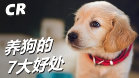 62e00527db100e88f908740f6b4afe02bdb91b2a.jpg@280w_158h_1c_100q.jpg