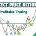 价格行为 price action(中英字幕)