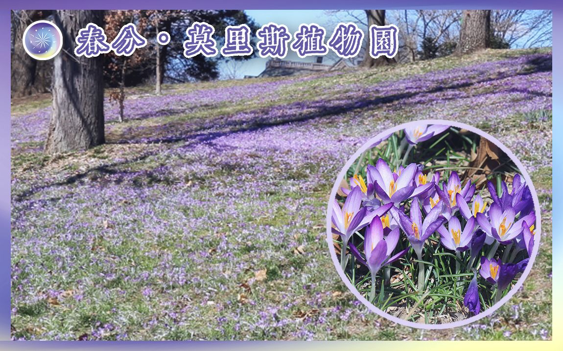 春分ⷨŽ멇Œ斯植物园哔哩哔哩bilibili