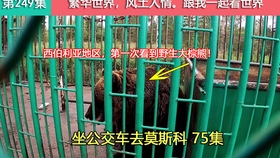 62f7fce95940e848c58cff81ed92fde5b3a68dc6.jpg@280w_158h_1c_100q.jpg
