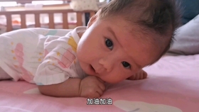 630b588fcee9aaf80c2e5d55be019de57b077853.jpg@280w_158h_1c_100q.jpg
