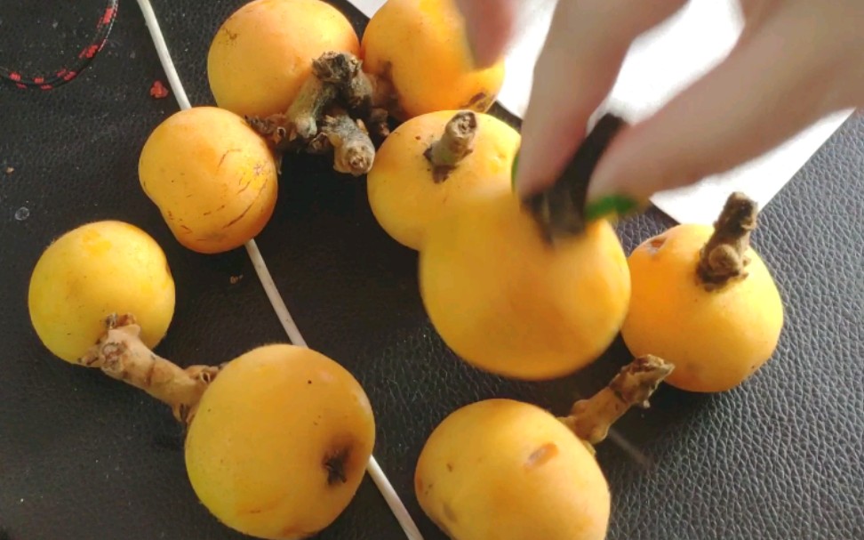 【白玉枇杷】听说你不会吃枇杷？？？