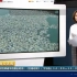 【教学小视频】新教材高中地理《海水的性质》：海水升温致韩国养殖场鱼类死亡