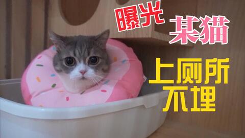 63461132242acbf2d977608e6088299d237c9409.jpg@480w_270h_1c