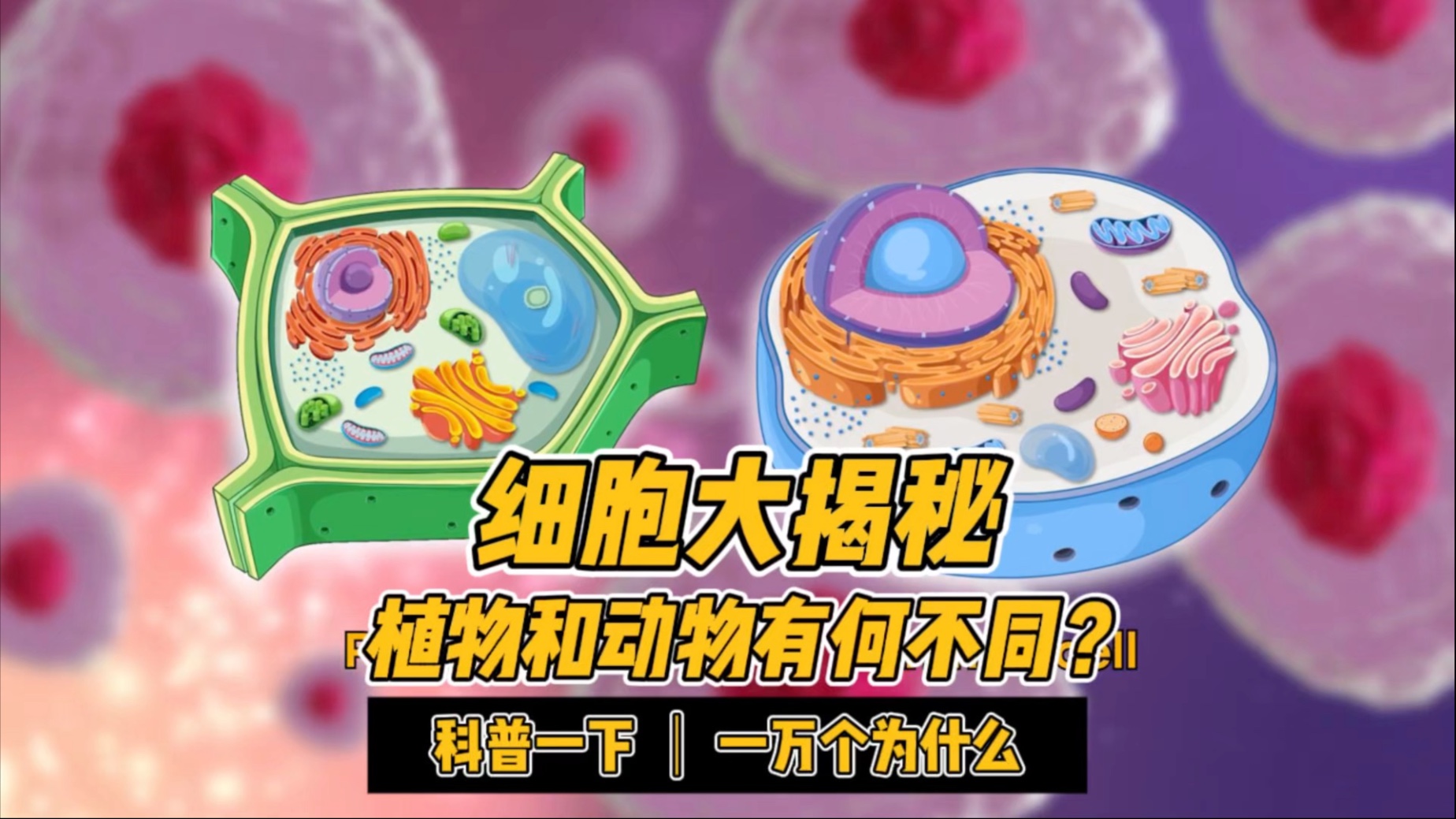 细胞大揭密：植物和动物有何不同？