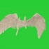 绿幕抠像白色天使翅膀视频素材