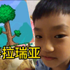 我喜欢泰拉瑞亚，我二年级了，谢谢大家哈哈_泰拉瑞亚