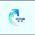 ［放送文化］cctv2（财经频道）2019版包装