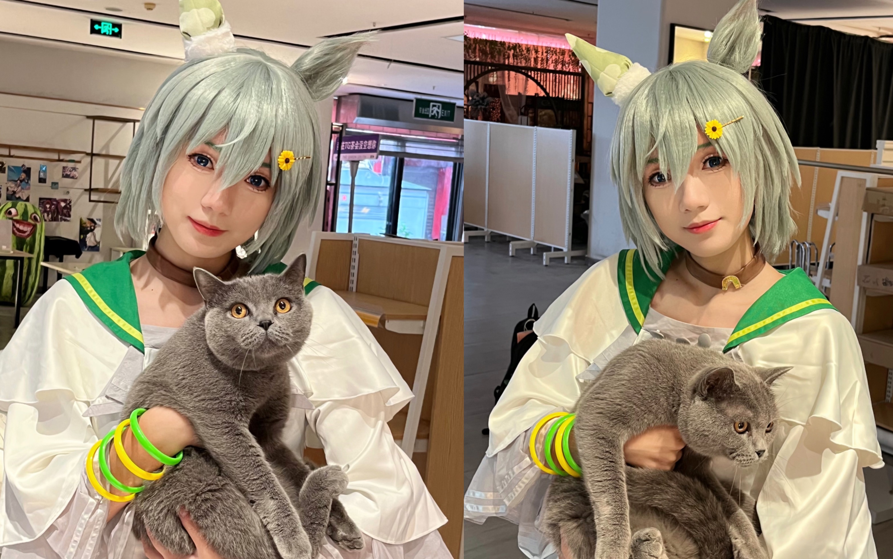 Cat is here to perform at Zhengma.