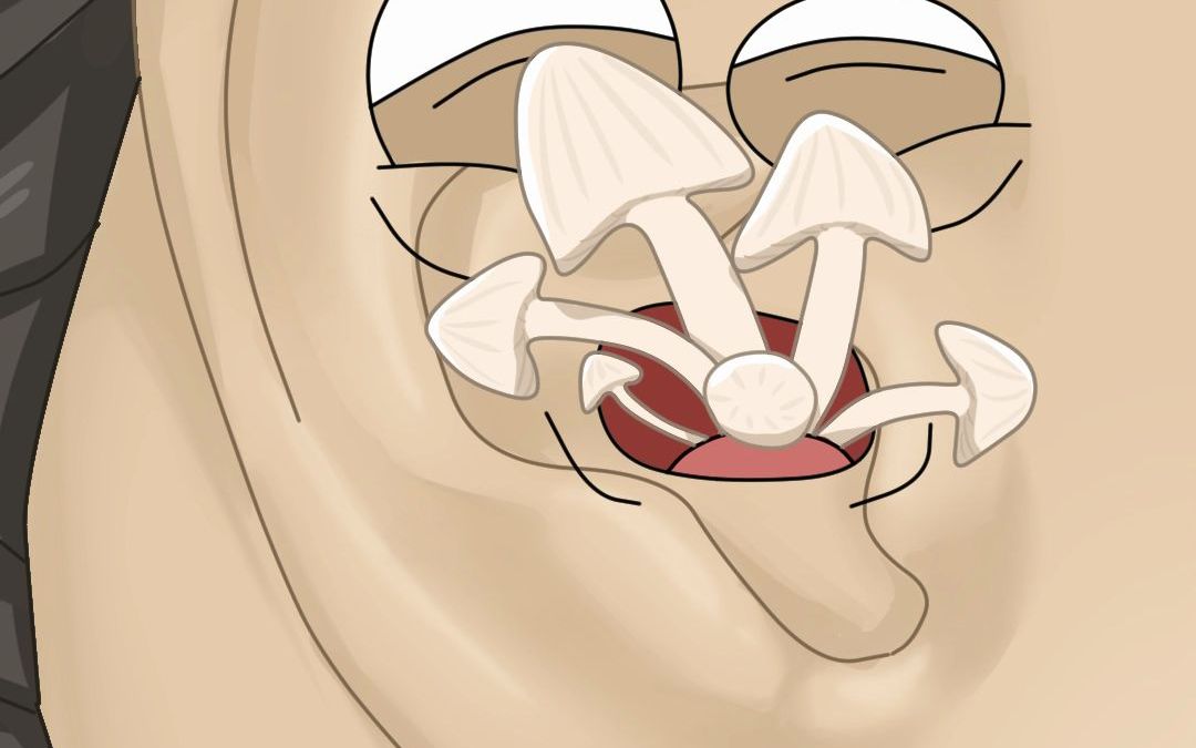 耳朵里长蘑菇了是咋回事？