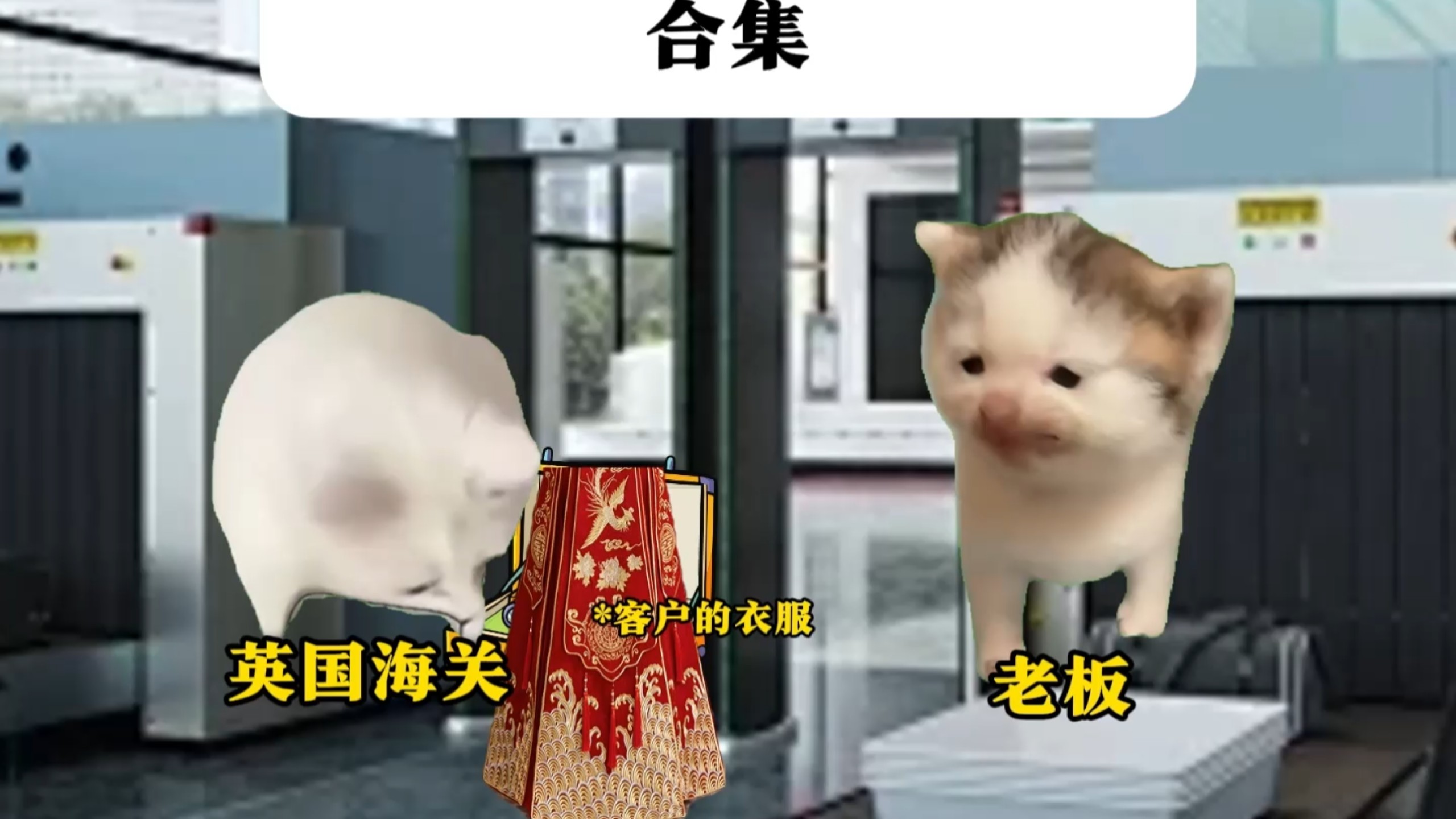 老板在英国出差合集