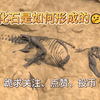 化石是如何形成的