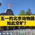 五一的北京动物园竟如此空旷？#五一限时挑