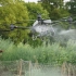 第一次现场看到大疆植保无人机喷洒农药作业过程