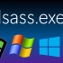 在Windows各种版本上结束运行lsass.exe