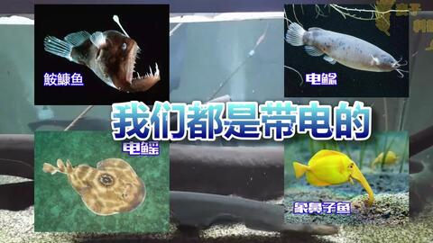 63ccde58a83ff7a030c8c99afbad0d58491135c8.jpg@480w_270h_1c