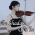 小提琴演奏《In The Shadow Of The Sun》，直击心灵的声音！