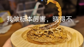 63e4a4b37a92e494b0f6571dcac83758e1478b6e.jpg@280w_158h_1c_100q.jpg