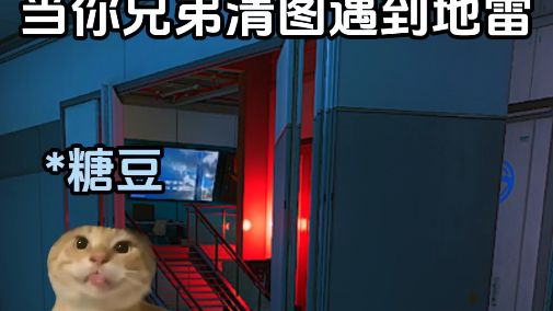谁的队友？