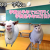 【汉语学习篇】日本单亲妈妈去中国后，价值观发生变化的故事(5)【猫meme