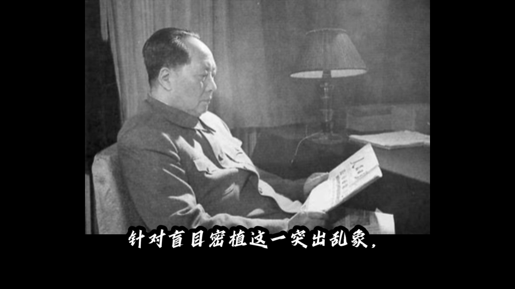 主席《党内通信》始末简述