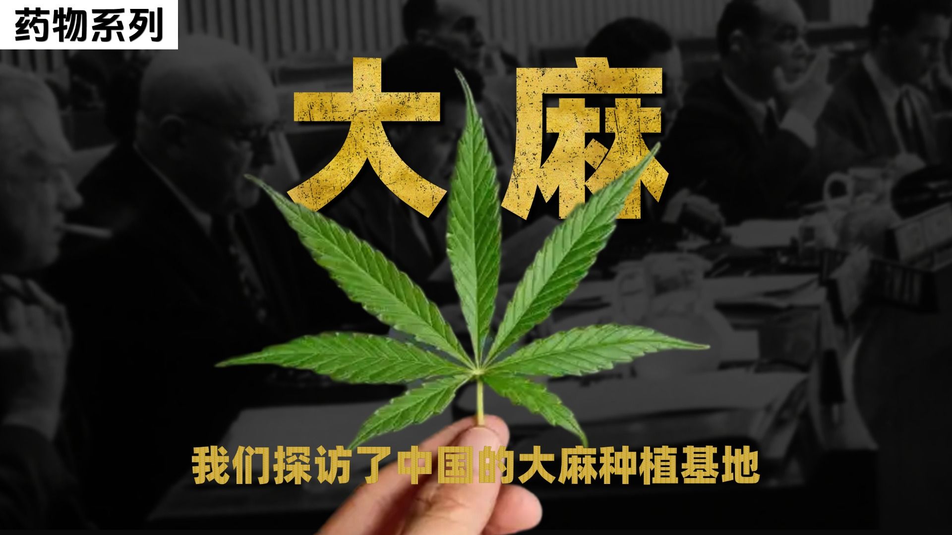 中国大麻种植基地