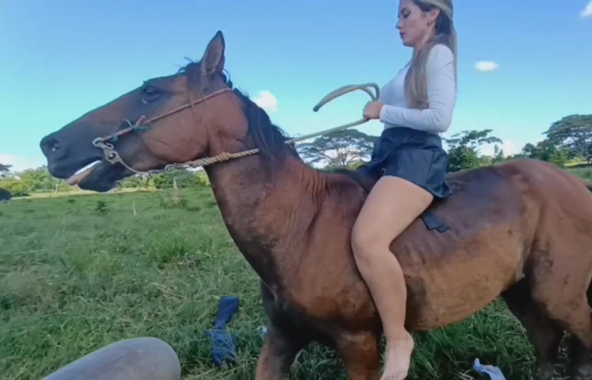安娜初体验无鞍野骑