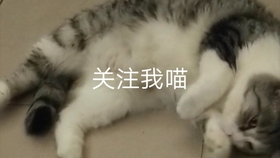 6471ba2d95e5b00140f8f0c4493a9c9ba02c209b.jpg@280w_158h_1c_100q.jpg