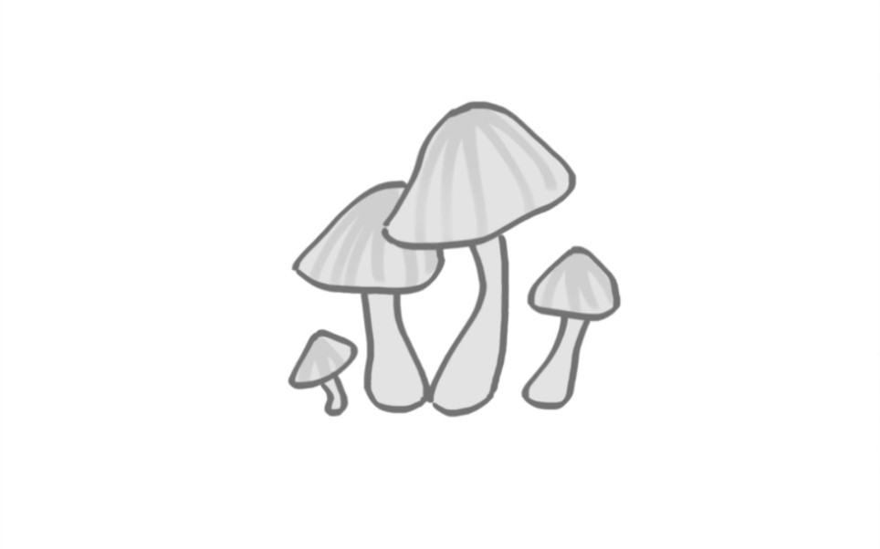 【蘑菇蘑菇】（微恐）