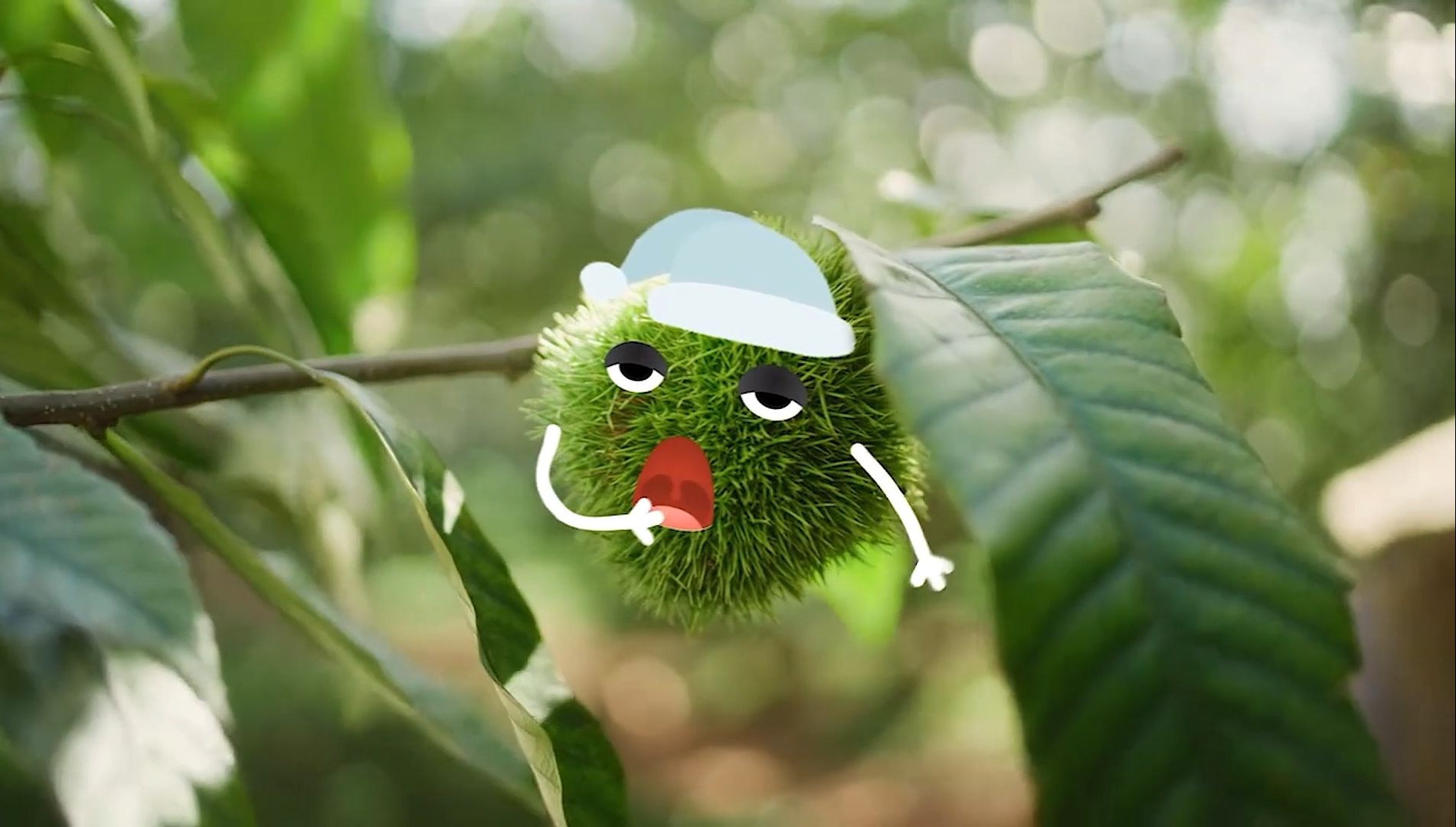 一支超可爱的助农公益广告！这么多年，助农广告终于换套路了...