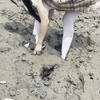 白丝少女踩泥巴