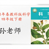 最新教科版四年级下科学合集（全