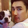 崔始源爱犬伤人致死，靠道歉能赢得原谅吗