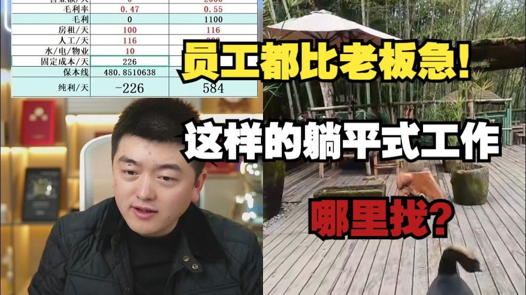 员工都比老板急！ 这样的躺平式工作哪里找？（完整版）
