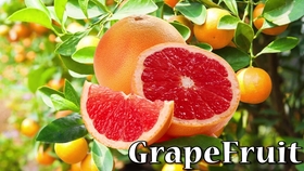 64e994f3f72f074a50430b86cd78ddfb6b75d19e.jpg@280w_158h_1c_100q.jpg