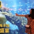 【VLOG】4K超清画质盛宴，大秀带你北京海洋馆云旅游！