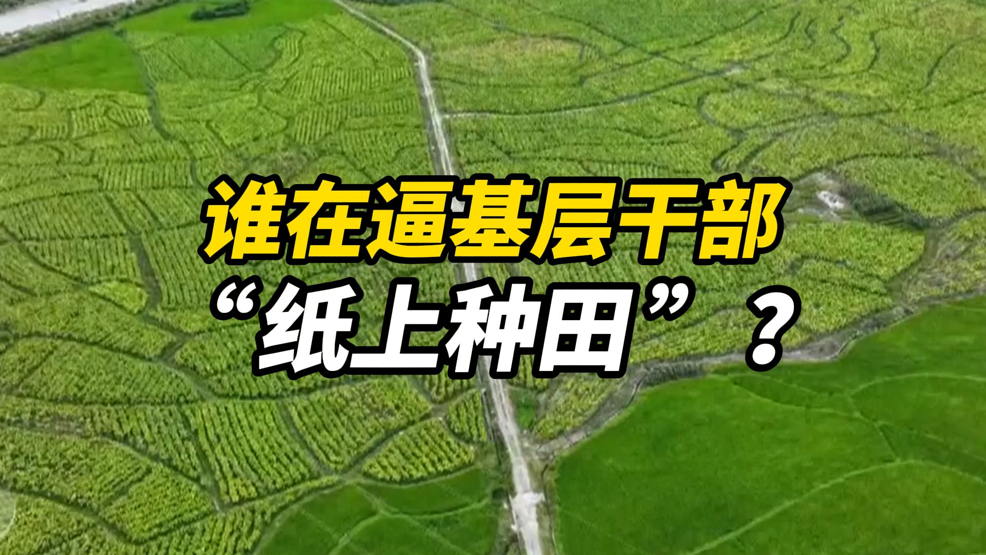 央视曝光一地“纸上种水稻”，实际种水稻约23万亩上报近39万亩，谁在逼基层干部“纸上种田”？