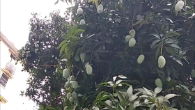 651ca07439887848bbb4a665c6e4a8c3d4ab24f4.jpg@280w_158h_1c_100q.jpg