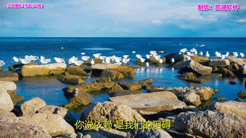 经典老歌排行榜_经典老歌(5)