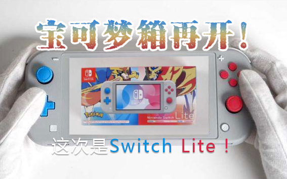 Nintendo Switch LITE 限定品 家庭用ゲーム本体 テレビゲーム 本・音楽・ゲーム ブランド店